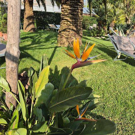 La Cicogna Bed & Breakfast Agerola Ngoại thất bức ảnh