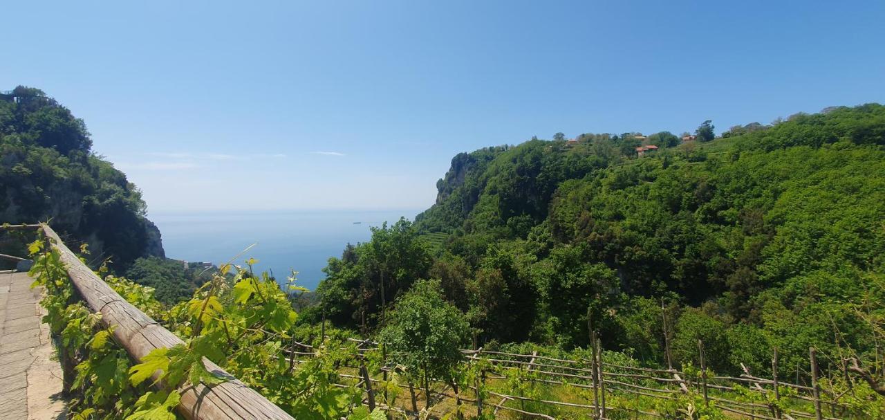 La Cicogna Bed & Breakfast Agerola Ngoại thất bức ảnh