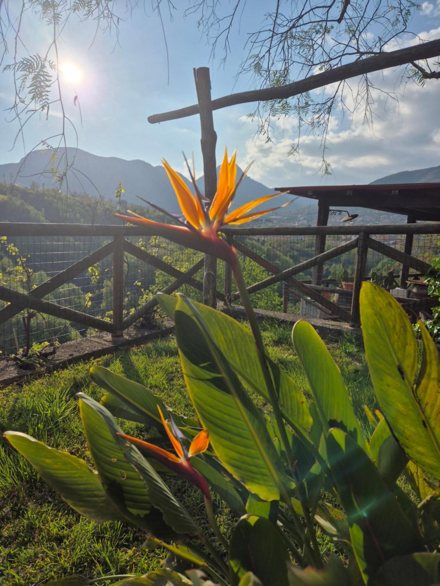 La Cicogna Bed & Breakfast Agerola Ngoại thất bức ảnh